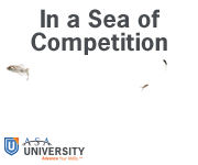 asa-u_sea-of-competition-web-ad_180x150_09-2016